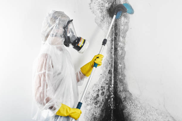 Best Forensic Mold Investigation  in Lionville, PA