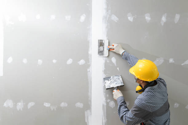 Best Asbestos and Lead Testing During Mold Inspection  in Lionville, PA