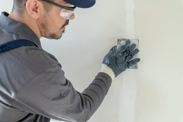Best Attic Mold Removal  in Lionville, PA