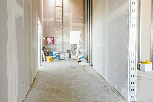 Trusted Lionville, PA Mold Removal Experts