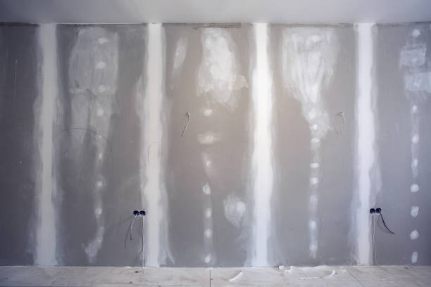 Mold Removal for HVAC Installations in Lionville, PA